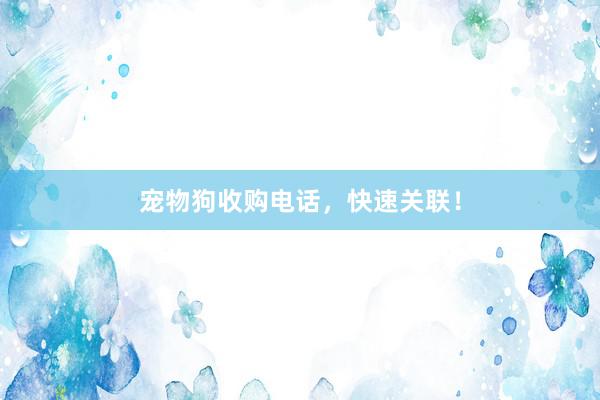 宠物狗收购电话，快速关联！