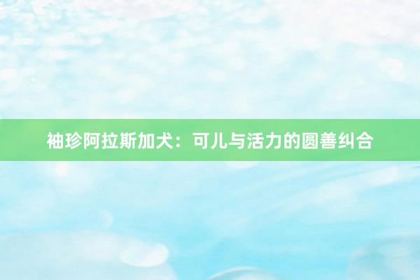 袖珍阿拉斯加犬：可儿与活力的圆善纠合