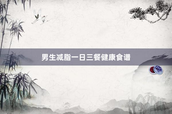 男生减脂一日三餐健康食谱